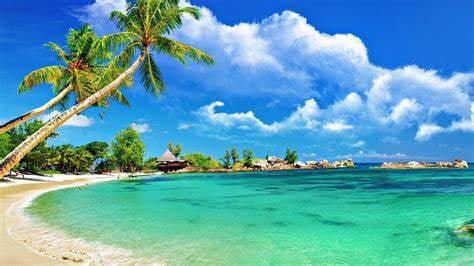 beach