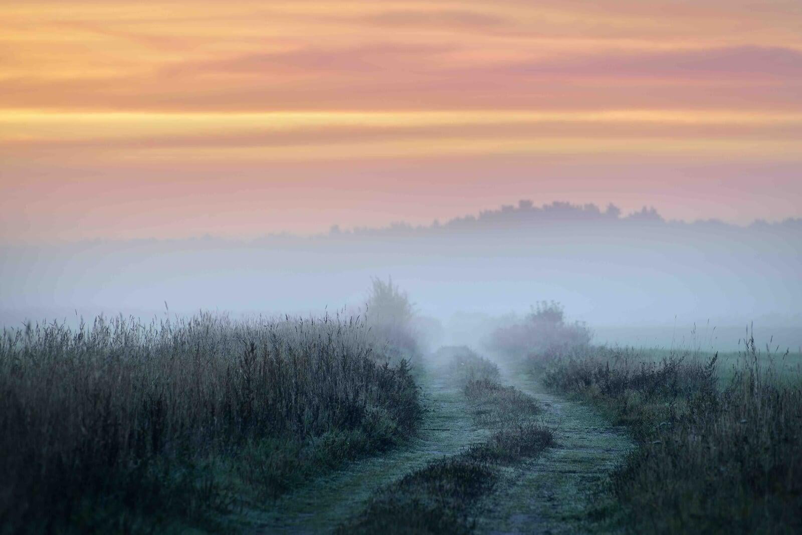 nature with pretty sky 