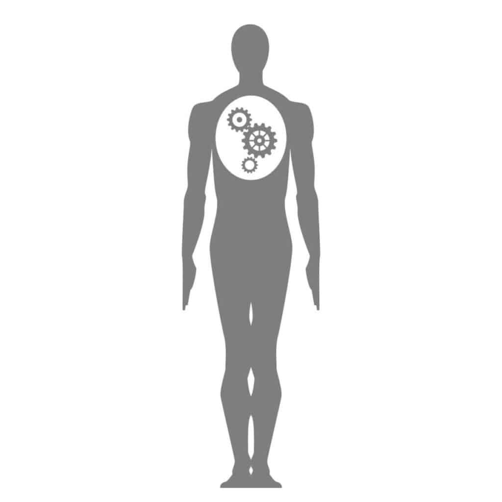 body